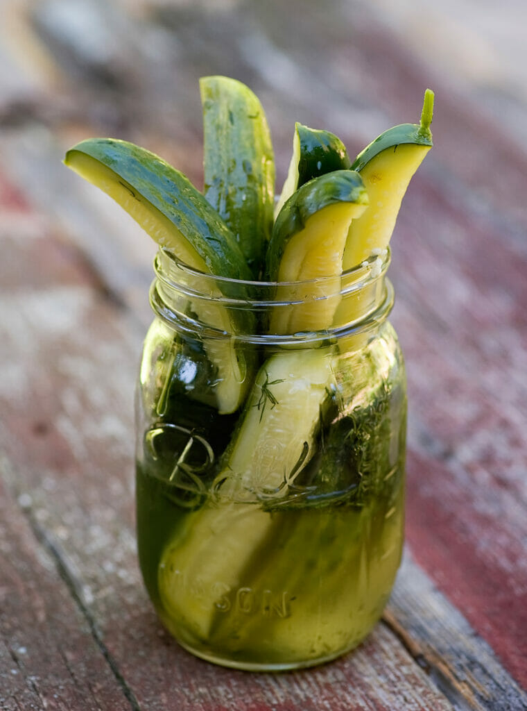 easy refrigerator pickles