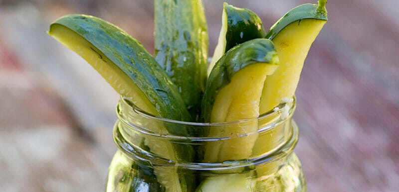 homemade dill pickles