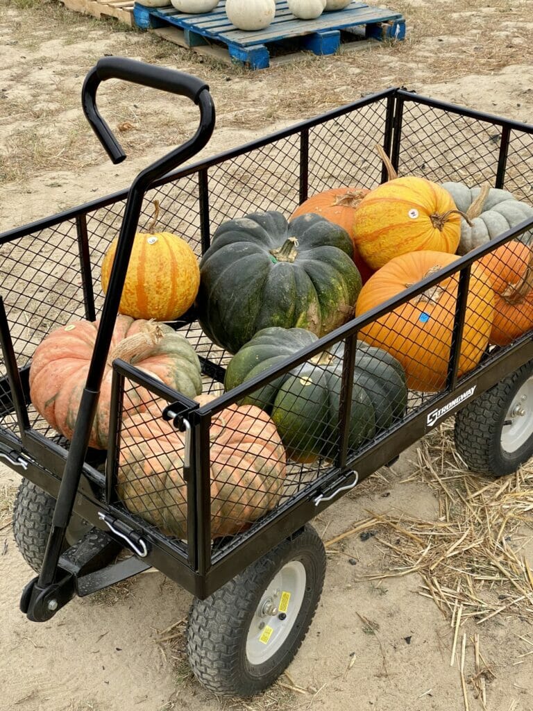pumpkin wagon