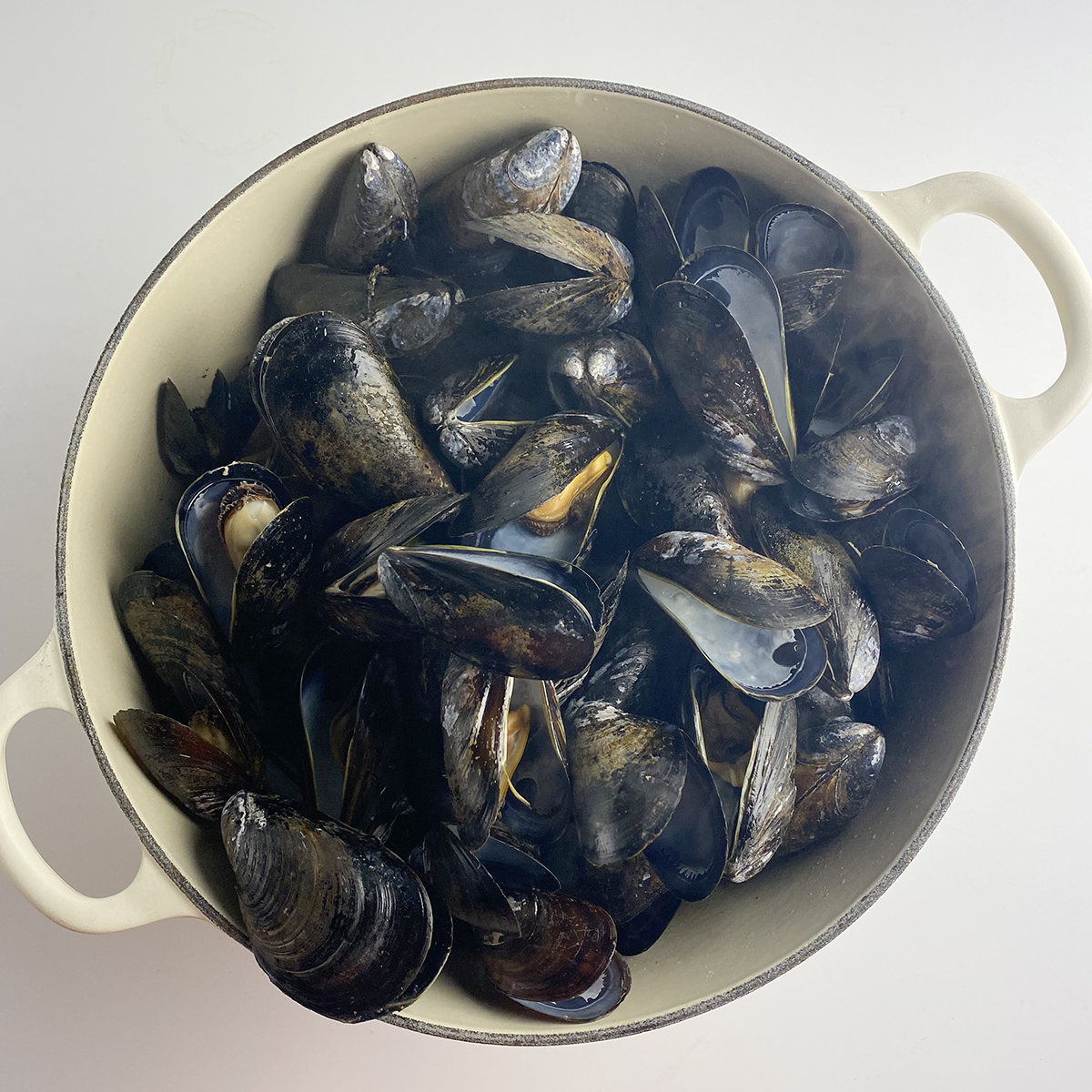 cooked mussels with open shells in a pot.