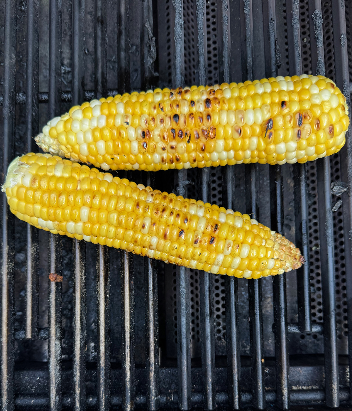 Cooked corn on the cob on the grill.